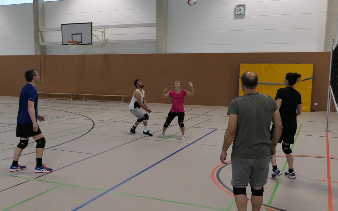 Sportfreunde Aegidienberg: Aufbau einer Volleyball-Abteilung